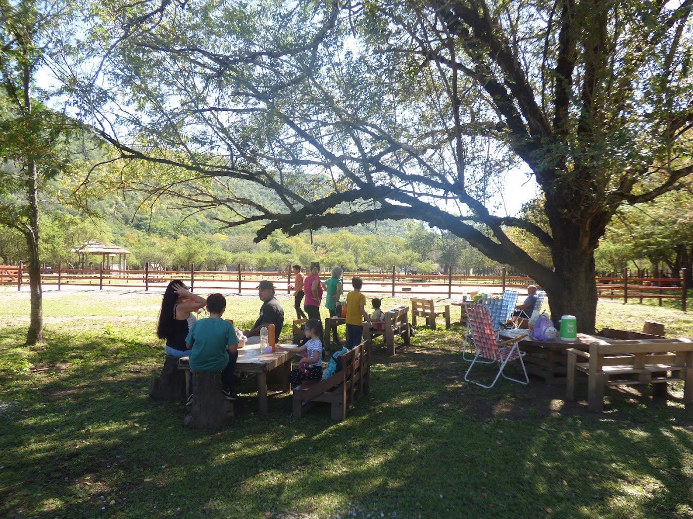 Familias bajo los árboles en la Jornada en la Granja